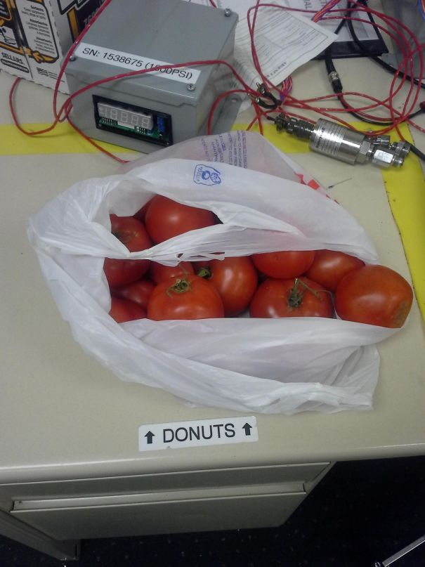 Anti-Donut Anarchists At Work Today