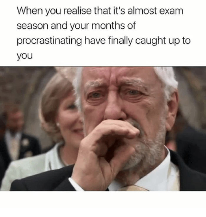 Funny-procrastination-memes