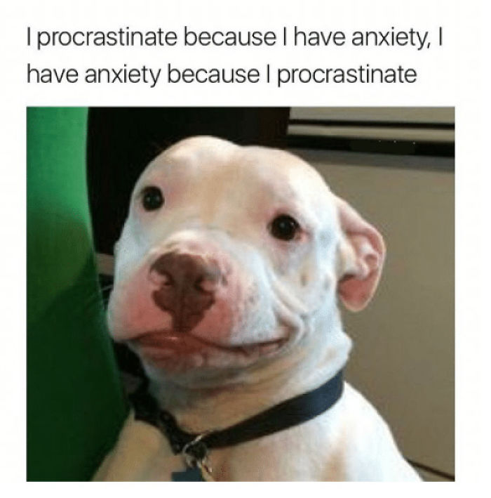 Funny-procrastination-memes
