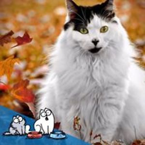 jeanettevictoria123 avatar