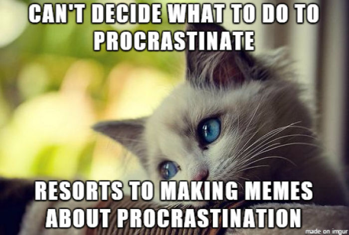 Funny-procrastination-memes