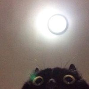 moiedelosreyes avatar