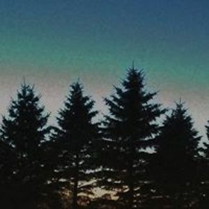 beth_velletri avatar