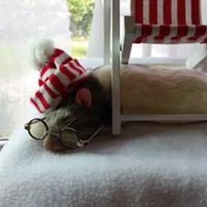 michelle_youl avatar