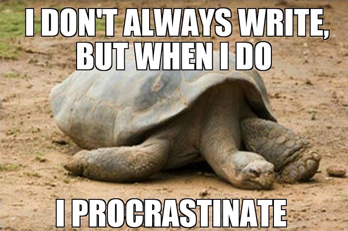 Funny-procrastination-memes