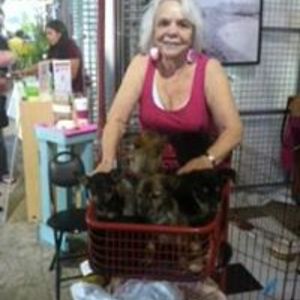 marilynacurran avatar