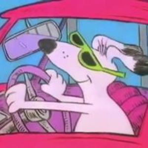 saba_al-shaer avatar