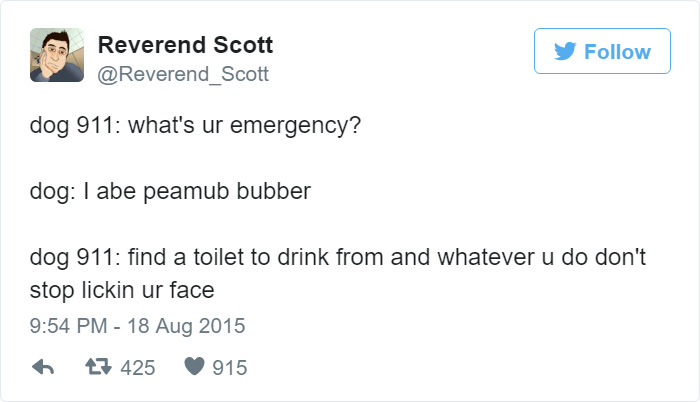 5 Doggos Who Are Hilariously Misunderstood