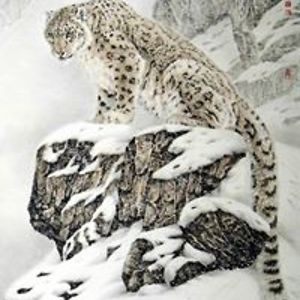 jones_vikkijones_victoria avatar