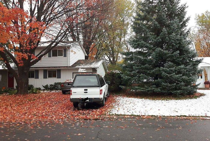 White truck parked between autumn leaves and snow, showcasing quirky neighbors in a diverse neighborhood setting.