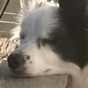 sarah_worthington avatar