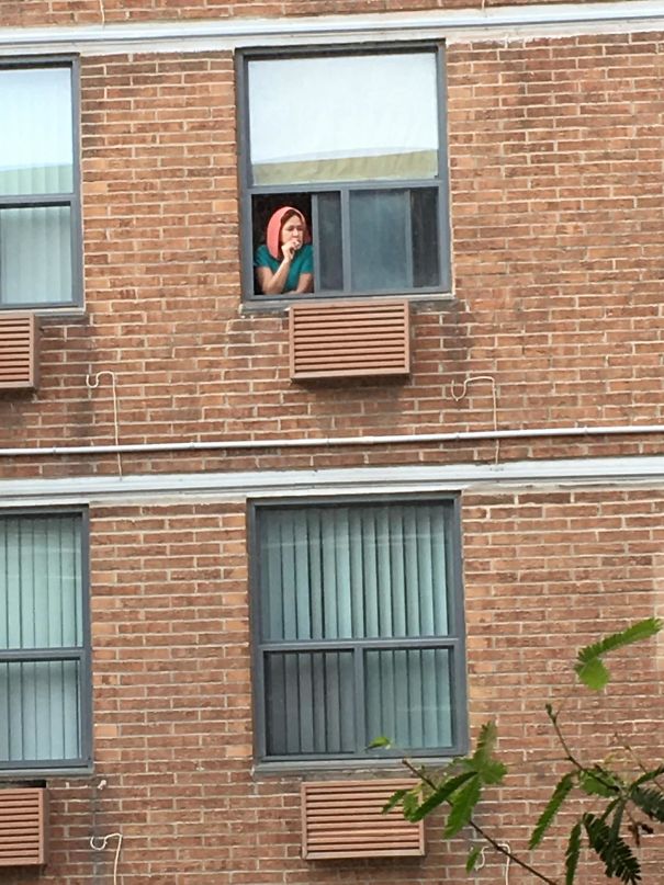 My Neighbour Is Louise Belcher