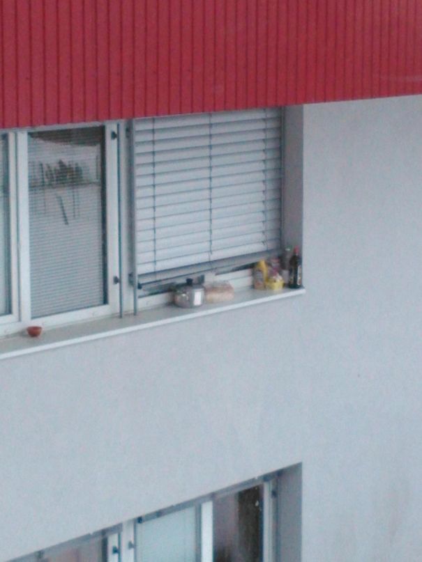 There Is A Blackout In Slovenia For Almost One Week And This Is What My Neighbour Did To Replace A Refrigerator