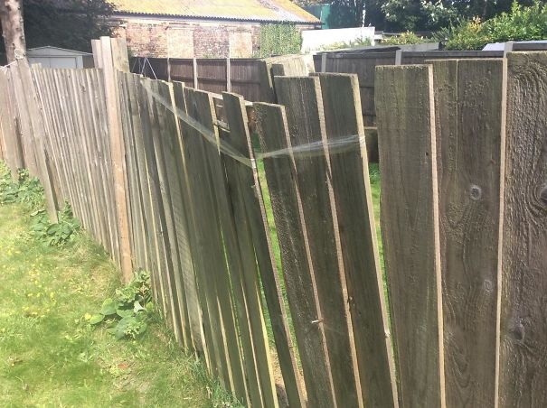 Oh Wow! Neighbour Finally Fixed His Fence. Good Job, Sir