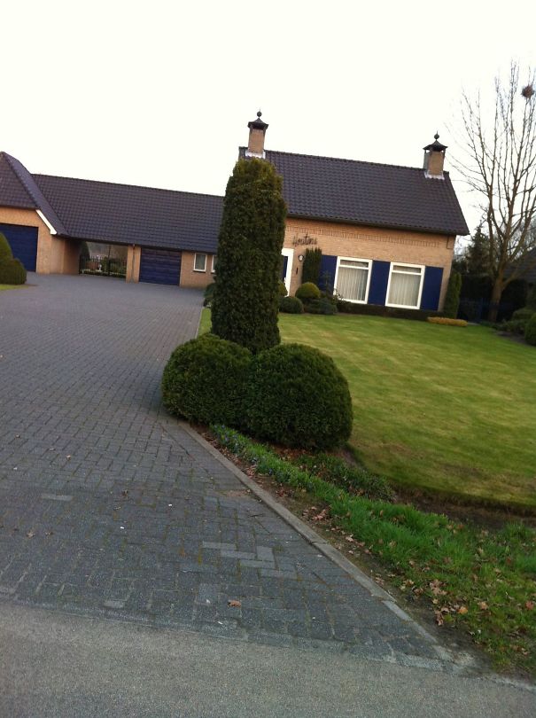 So, My Neighbour Just Got A New Plant