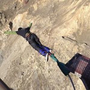 jackson_havoc avatar