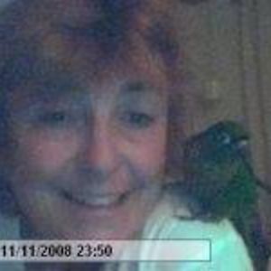 monks_plackett avatar