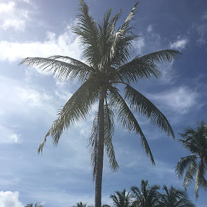 britanistokes avatar