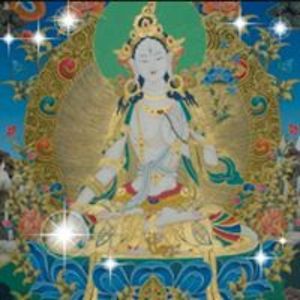 warmheartlight avatar