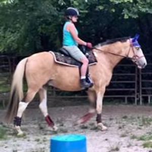 lauragolden53 avatar