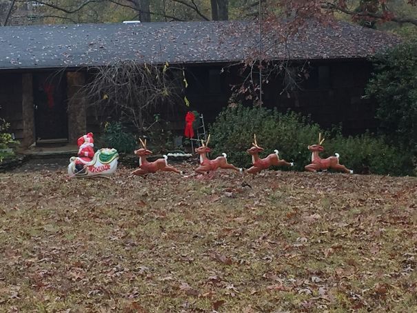 My Neighbor Is Confused