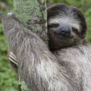 michael_finn_jorgensen avatar