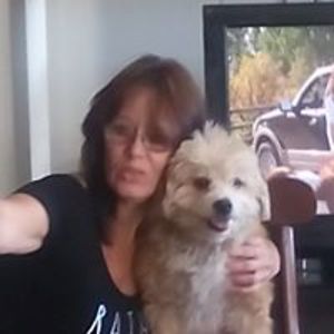 constancewraxall avatar