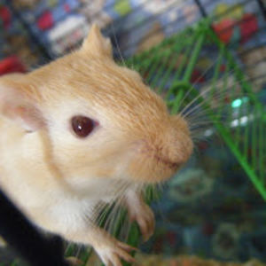 hannahtaylor_1 avatar