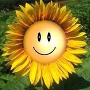 sandrakneller avatar