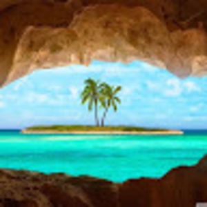 vikramvenkatraghavan avatar