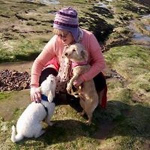 hannah_horton avatar