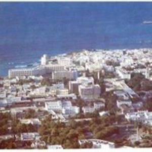 diamanhussien avatar