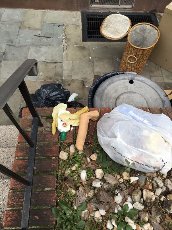 Looks Like My Neighbor Was Working In The Yard Today