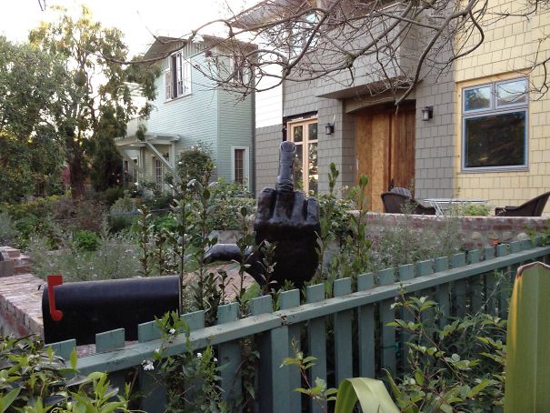 Saw An Enormous Bird In My Neighbor's Yard This Morning