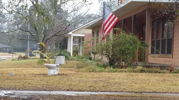 My Neighbor Got A New Planter For Their Yard