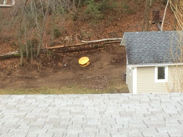 Looked Into My Backyard, Questioned Reality For A Sec