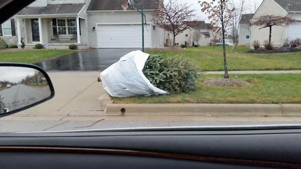 The Neighbors Are Efficient: 8:40am, Christmas Morning