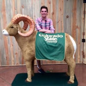 jacksonczajka avatar