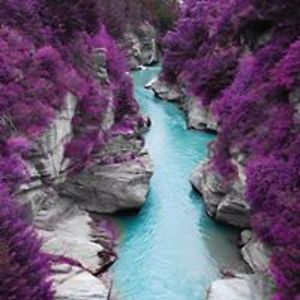 comedytragedy8 avatar