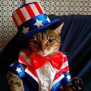 toomanycats305 avatar