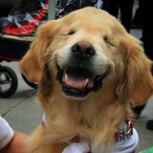 siula_grande_peru avatar