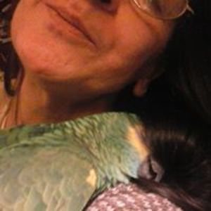 specialtyhandcrafts avatar