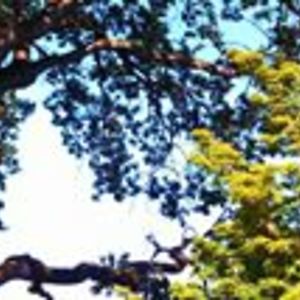 michael_negrich_1 avatar