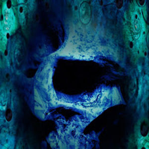 stonedskull avatar