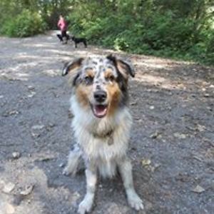 pauloniusjcanuck avatar