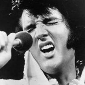 dressedupdigits avatar