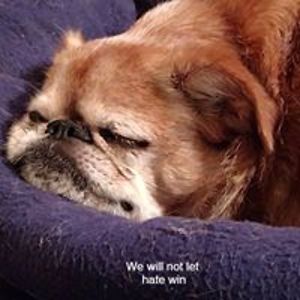 kirsten_zielinski avatar