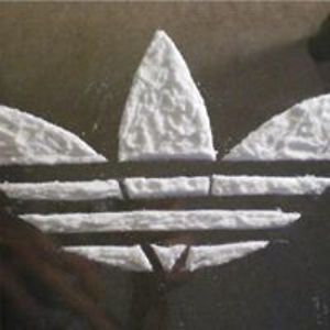 scott_shields33 avatar