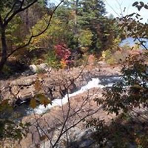 anitadingman22 avatar