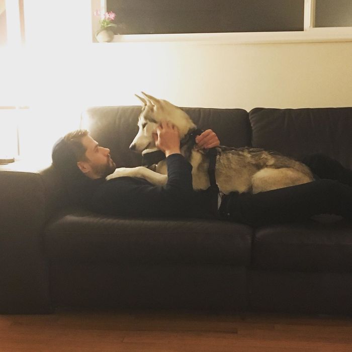 Once A Lap Dog, Always A Lap Dog